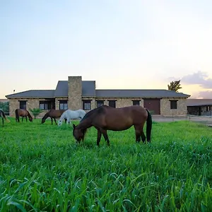 Casa Ecuestre Carmen Martinez Alojamento de Acomodação e Pequeno-almoço Fuente Palmera